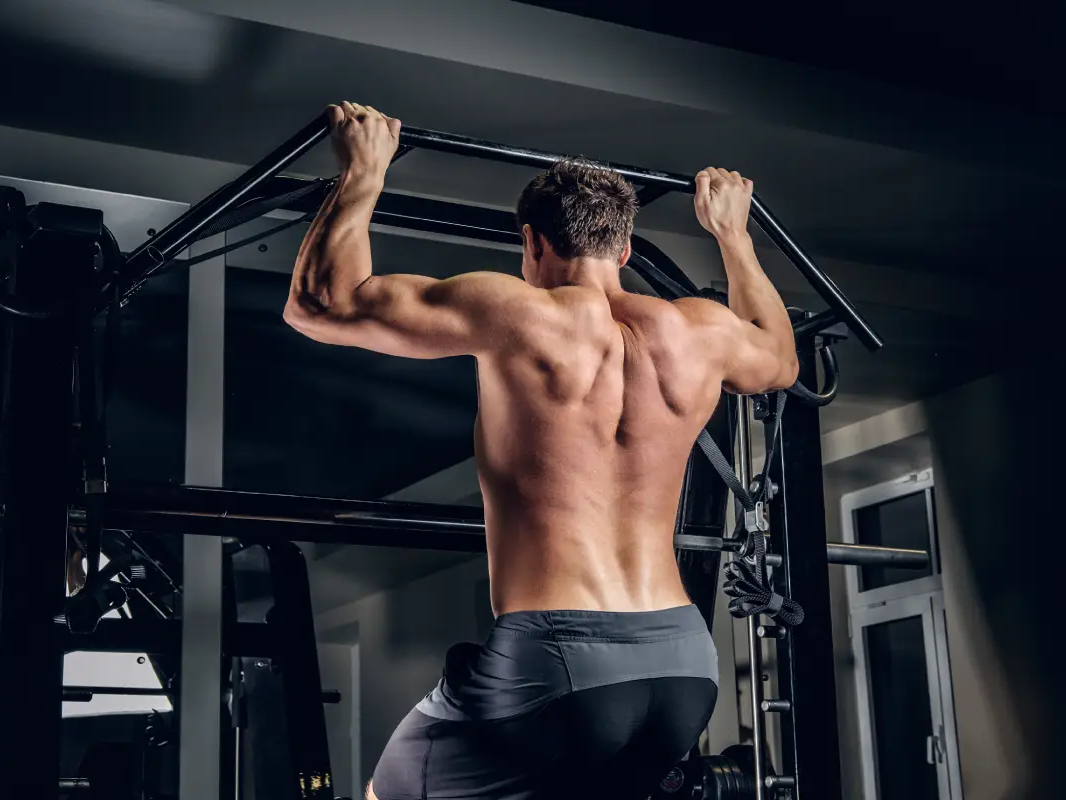 back workouts