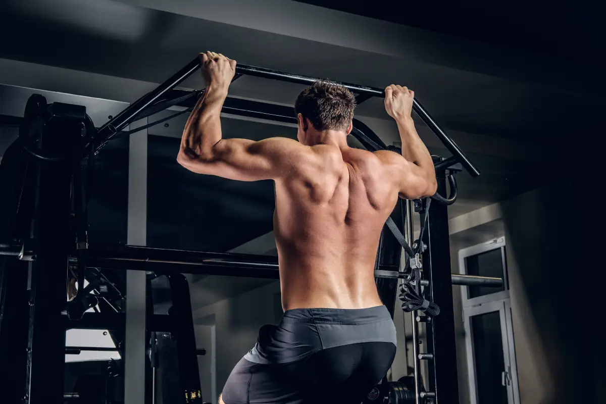back workouts