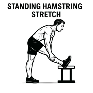 5 Best Hamstring Stretches For Tight Leg Muscles standing hamstring stretch